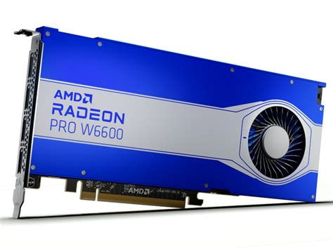 Amd、シングルスロットのws向けvga「radeon Pro W6600」提供開始 エルミタージュ秋葉原