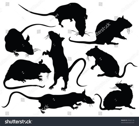 Rats Silhouettes Vector 20922118 Shutterstock