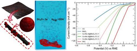 碳布上的 Co075mo3s375cos22d Mos2 纳米片：用于析氢反应的渐进式无粘合剂电催化剂international