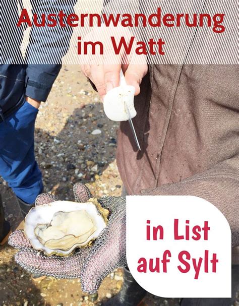 List Auf Sylt Von Wilden Austern Und Cremigem Eis Meikemeilen