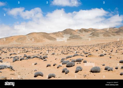 desert landscape in northern Chile Stock Photo - Alamy