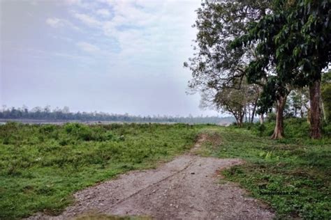 Nameri National Park – Kaziranga National Park and Tiger Reserve ~ Tour ...