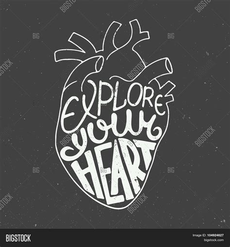 Explore Your Heart Vector And Photo Free Trial Bigstock