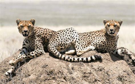 Serengeti National Park