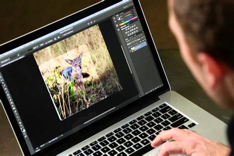 Ноутбуки для дизайнера, фотографа, фотошопа в 2025 году. Какой купить ...