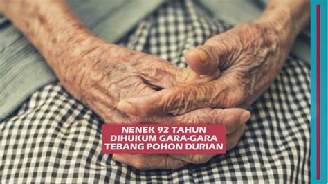 Nenek 92 Tahun Dihukum Gara Gara Tebang Pohon Durian YouTube