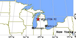 Wellston, Michigan (MI) ~ population data, races, housing & economy