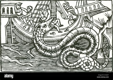 In Olaus Magnus' 1555 work History of the Northern Peoples, he Stock ...