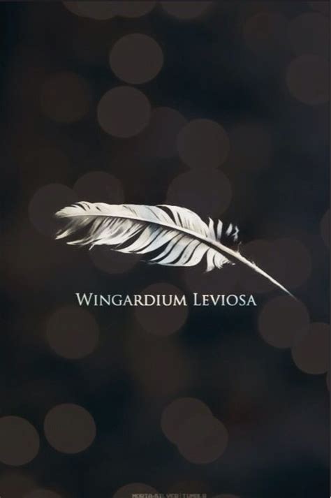 Wingardium Leviosa Harry Potter Wallpaper Harry Potter Leviosa