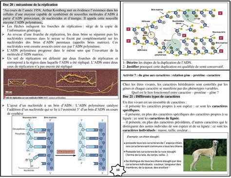 Notion De Linformation G N Tique Activit S Alloschool