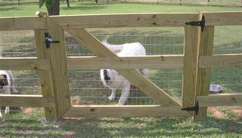 nice dog fencing | Post and rail fence, Diy dog fence, Dog fence