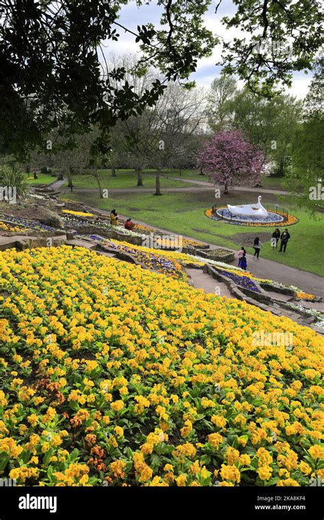 Flower Displays In Stapenhill Gardens Burton On Trent Town