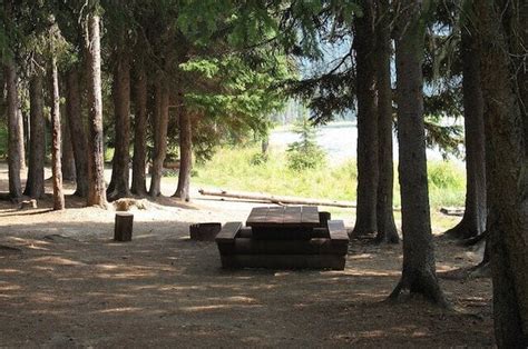 Province expands booking window for BC Parks campsites after users say ...