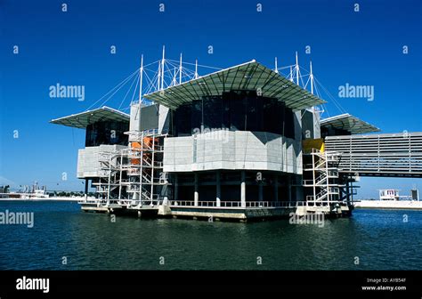 Lisbon Aquarium Portugal Stock Photo: 1815886 - Alamy