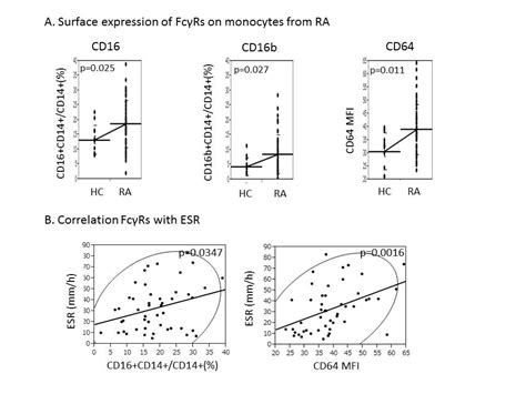 Pleiotropic Roles Of Fcγ Receptors Upregulated On Circulating Monocytes