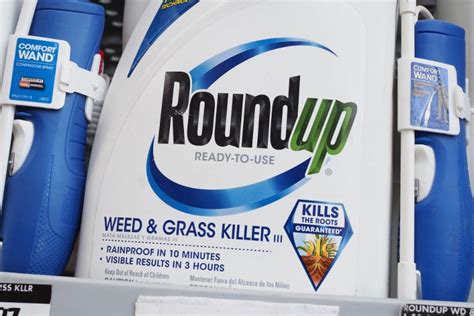 Monsanto faces first US trial over RoundUp cancer link - The Scoop