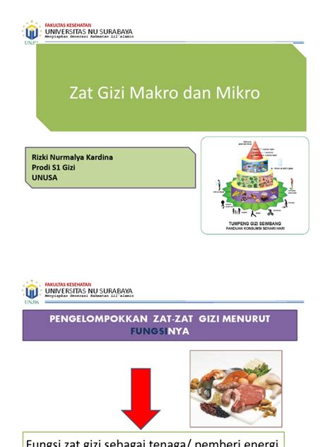 Zat Gizi Makro Dan Mikro 1 Pdf