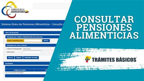 Consulta De Pensiones Alimenticias Supa Ecuador Cu Nto Debo Ya Me