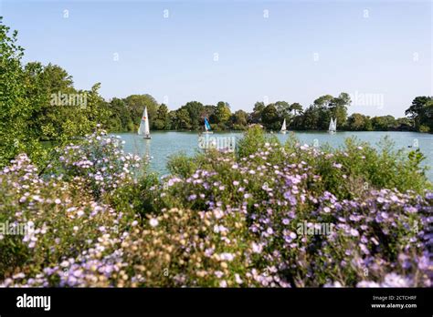 Sailing on South Norwood Lake, South London Stock Photo - Alamy