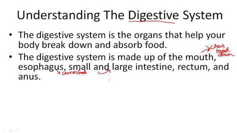 Human Body Systems Example 1 Video Biology Ck 12 Foundation