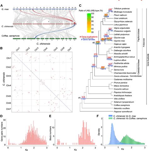 Figure 2 From The Nearly Complete Assembly Of The Cercis Chinensis Genome And Fabaceae