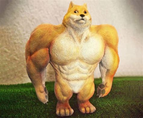 Swole Doge