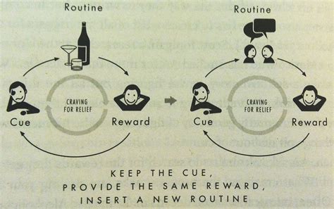 The Power Of Habit Success Isnt All About Luck A Roadmap To Changing