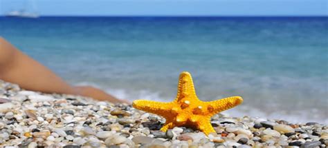 Claves Para Elegir Tu Bikini Ella Y El Abanico