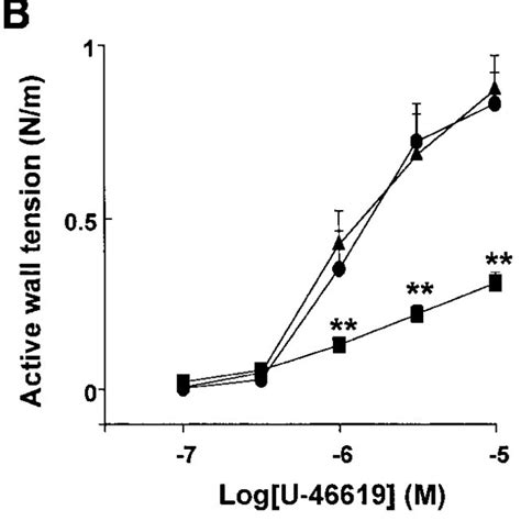 Concentration Dependent Contractile Effects Of Kcl A U 46619 B