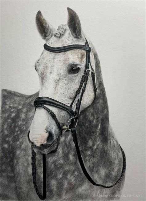 Dapple Grey Horse - Part 1 | Bonny Snowdon - Colour Pencil Artist | Caran d'ache, Dessin