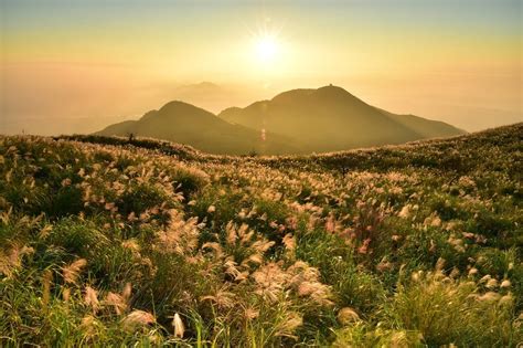 Yangmingshan National Park (Official GANP Park Page)