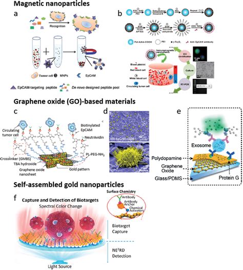 Nanomaterials For The Detection Of Ctcs And Evs A Schematic Diagram