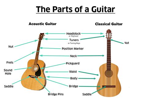 Guitar Anatomy | Parts Of A Guitar – Lesson #2 - Real Guitar Lessons by ...