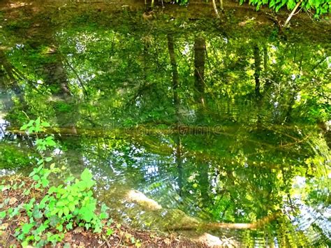 France Alsace Haut Rhin View Of The Water Table At The Petite