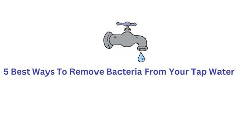 Best Way To Remove Bacteria From Tap Water