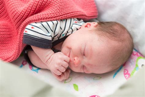 Newborn 8 Days Old Baby Sleeping Crib Stock Photos Free And Royalty