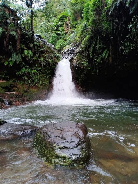 Curug pangeran bogor stock image. Image of wilderness - 227965599