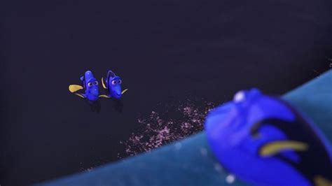 Finding Dory - Finding dory Photo (40992568) - Fanpop