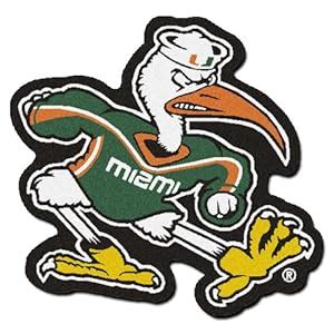 Amazon.com: FANMATS NCAA University of Miami Hurricanes Nylon Face ...