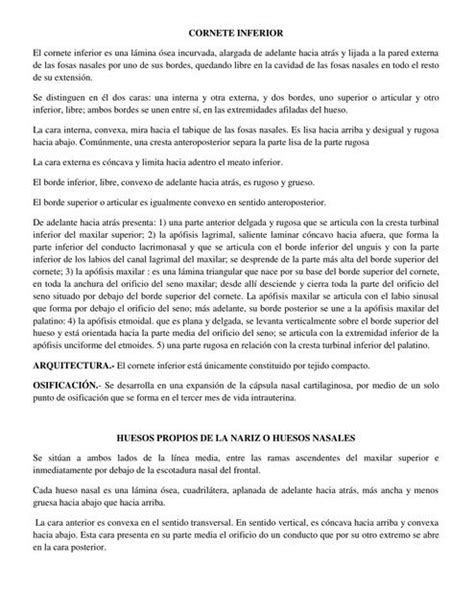 Res Menes De Hueso Nasal Descarga Apuntes De Hueso Nasal