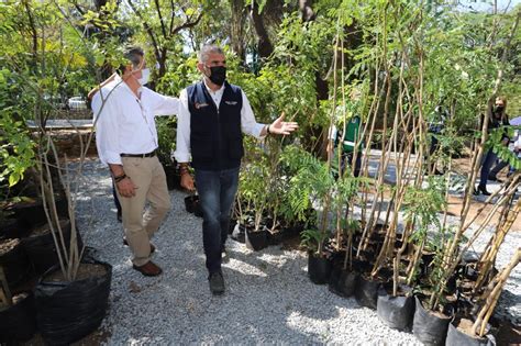 Realiza Sop Primera Entrega De Arbolitos Al Ayuntamiento De Tuxtla