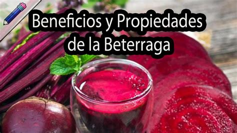 La Beterraga 6 Beneficios Y Propiedades Propiedades Medicianles YouTube