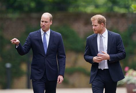 Princes William And Harry To Honor Princess Diana S Legacy In Separate