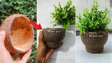 How To Make A Coconut Shell Plant Pot Coconut Shell Plant Pot Making