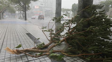 Typhoon Trami flips cars in Japan | World News | Sky News