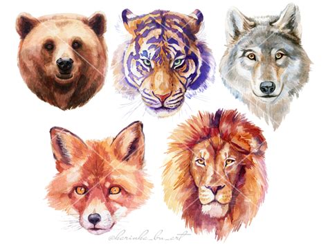 Watercolor animals illustrations by Karinka BU on Dribbble