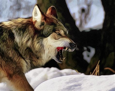 Snarling Wolf 3 Digital Art by Ernie Echols - Pixels