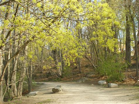 Spring Transformation – Radiant Refuge