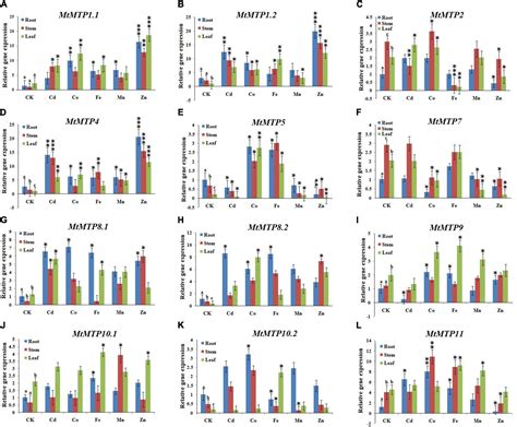 Frontiers Genome Wide Identification And Expression Analysis Of Metal