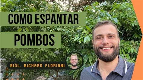 Como Espantar Pombos Biologo Richard Floriani Youtube